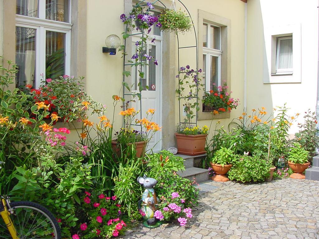 Pension Pieschen Dresden Exteriör bild